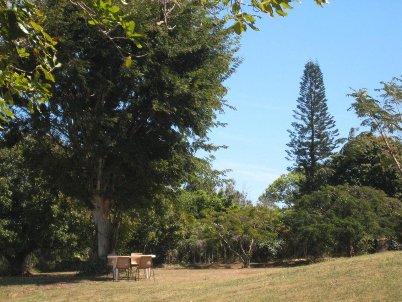 Childers Budget Accommodation מראה חיצוני תמונה